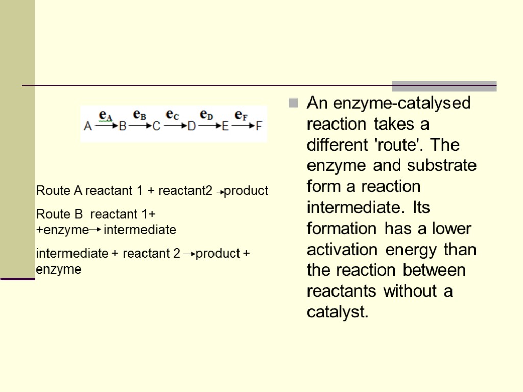 An enzyme-catalysed reaction takes a different 'route'. The enzyme and substrate form a reaction